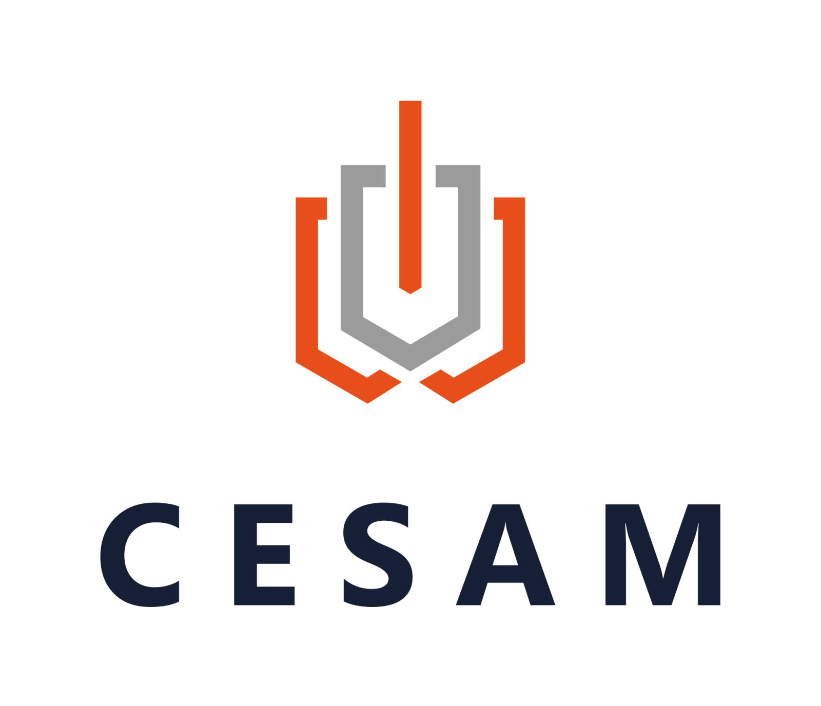 Expert maritime certifié CESAM à Marseille
