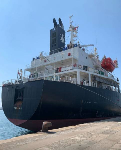 Expertise des grands navires