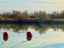 Nos prestations sur le secteur de Saint-Tropez 83